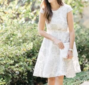 Alice Walk Fit and Flare Silver Floral Embroidered Cocktail Dress sze 4